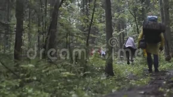后观群人背着背包一起徒步在森林中攀爬库存录像冒险视频的预览图