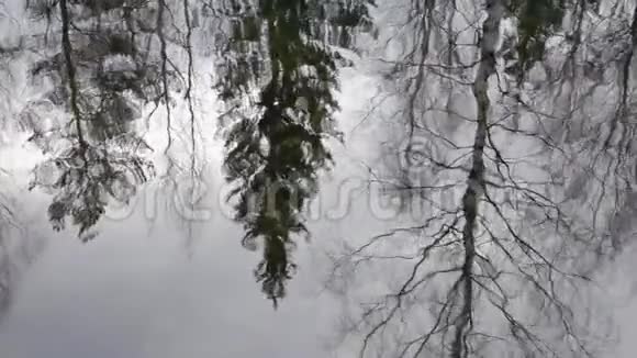 秋天涟漪水面裸露森林的反映视频的预览图