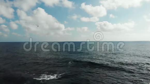 鸟群在波浪状的海面上飞翔海浪拍打着岩石的海滩无人驾驶的鸟群飞行视频的预览图