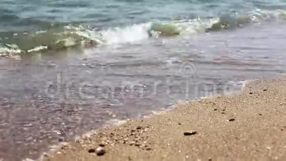 沙滩上海浪轻柔阳光明媚特写拍摄选择性聚焦视频的预览图