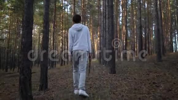 小男孩在松树林里散步视频的预览图