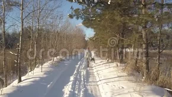 上背部的女人沿着冬林散步视频的预览图