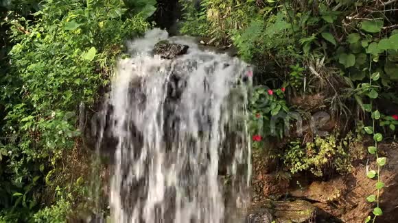 靠近热带花园的小瀑布视频的预览图