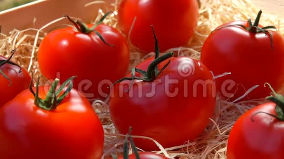 成熟多汁的红西红柿躺在木箱里视频的预览图