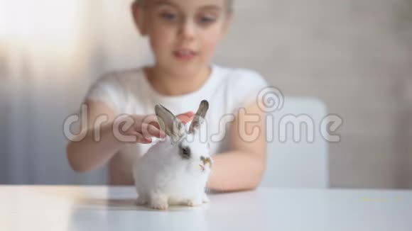 可爱的女孩温柔地抚摸着毛茸茸的小兔子微笑着孩子的幸福视频的预览图