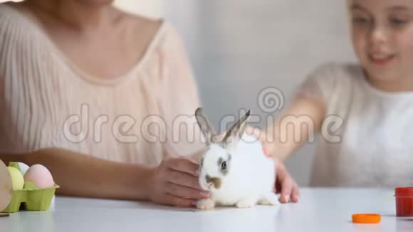 可爱的女孩喜欢她可爱的兔子抚摸和照顾宠物视频的预览图