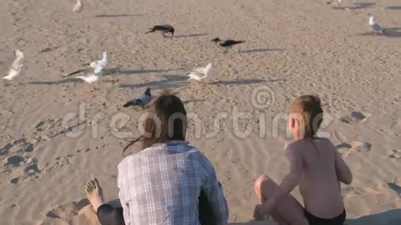 妈妈和儿子正在沙丘的沙滩上喂鸟海鸥和乌鸦视频的预览图