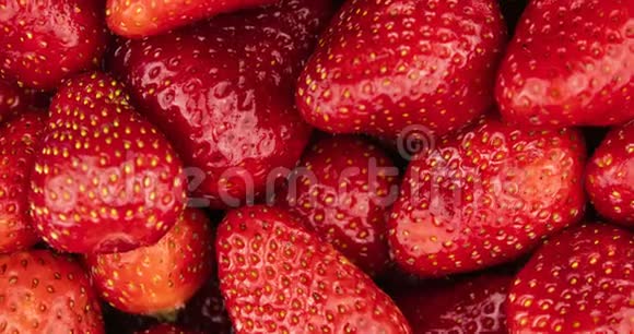 红熟有机草莓轮作食物背景视频的预览图