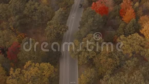空中建立一条被秋天森林包围的道路视频的预览图