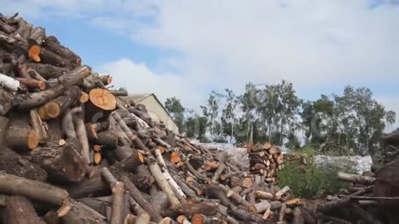 院子里的大堆木柴视频的预览图