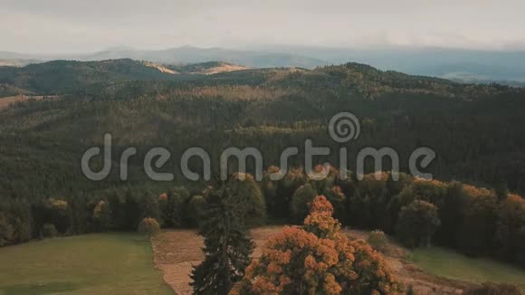 高地山区森林视频的预览图