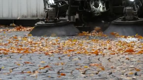 清理落叶街机刷在秋天的街道上德国慕尼黑沥青机械清洗视频的预览图