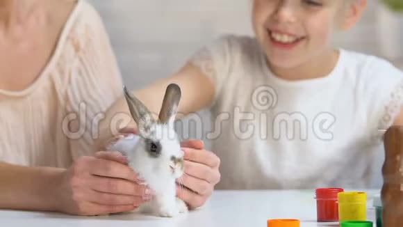 女儿和妈妈戴着兔耳朵的头巾抚摸着小白兔视频的预览图