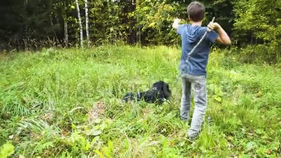夏天男孩和黑狗在大自然中玩棍子视频的预览图