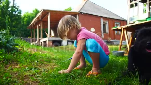 小女孩用剪刀在草坪上剪草视频的预览图