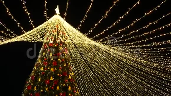 美丽的圣诞树上装饰着许多户外花环视频的预览图
