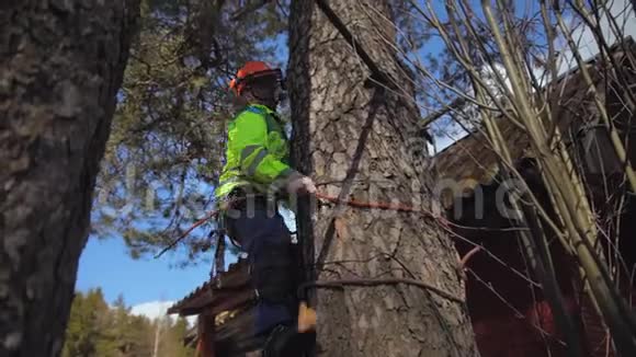 攀爬者爬上一棵树视频的预览图