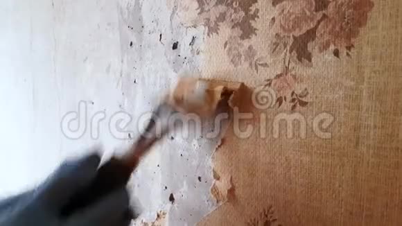 男人用一个特殊的刮刀从墙上刮掉壁纸把房间里的壁纸视频的预览图