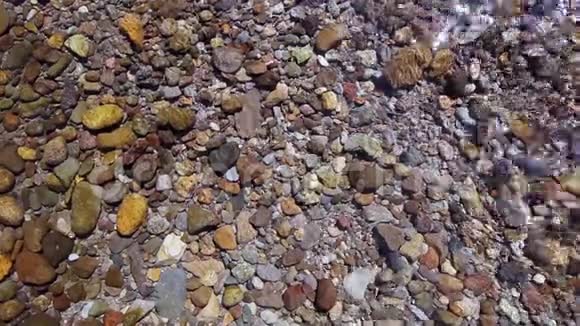 科罗拉多州美丽多彩的落基山溪流视频的预览图