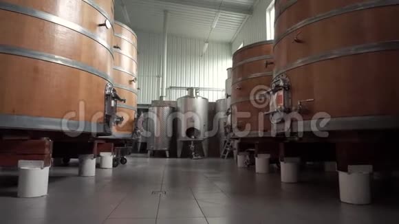 酒厂大厅有巨大的垂直葡萄酒橡木木桶在那里葡萄发酵视频的预览图