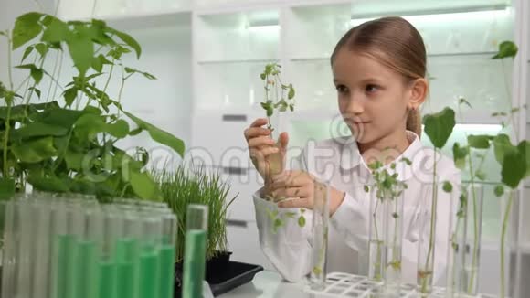 化学实验室的孩子学校科学生长苗木植物生物课视频的预览图