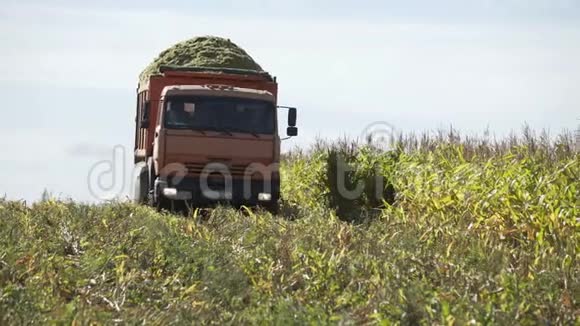 运送刚收获的玉米的卡车卡车在农田上行驶收割场农业机械视频的预览图