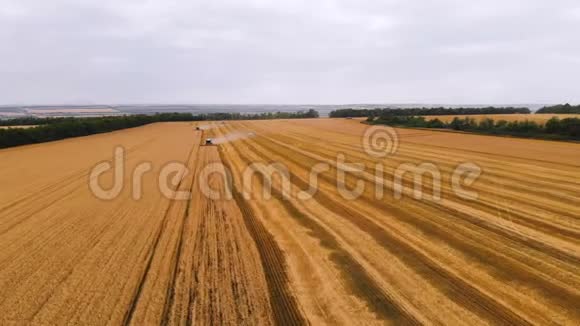 鸟瞰4k分辨率几台现代联合收割机收集成熟的小麦留下一团灰尘在小麦上视频的预览图