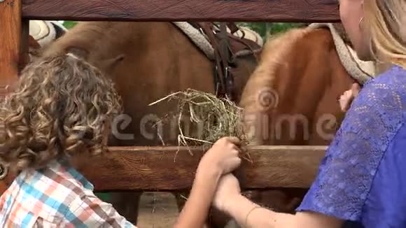 男孩和女孩在马场视频的预览图