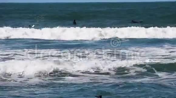 穿着泳衣的冲浪者在海洋中等待视频的预览图