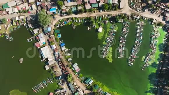 河上渔民村的高空被绿藻污染视频的预览图