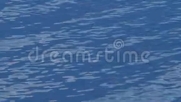 抽象的海洋背景带着小浪的碧水水波为自然背景干净的海面视频的预览图