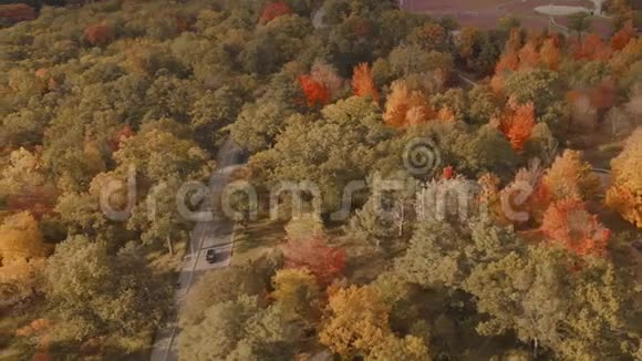 空中建立一条被秋天森林包围的道路视频的预览图