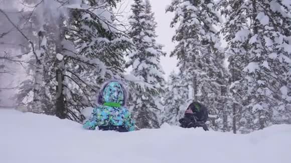 公园里的孩子们玩雪第一场雪带来的欢笑和喜悦雪从杉树枝上落下散步视频的预览图