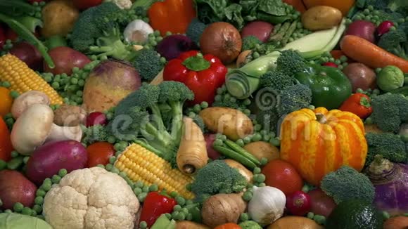 鲜湿蔬菜在五颜六色的展示视频的预览图