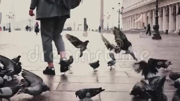 意大利威尼斯旧圣马可城广场上一群快乐的女游客带着相机围着一群鸽子慢镜头视频的预览图