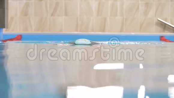 专业游泳运动员在游泳池进行蛙泳视频的预览图