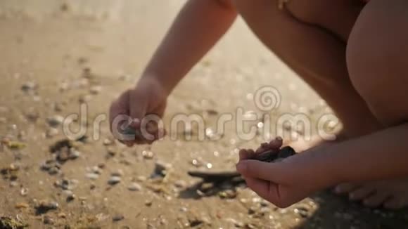 快乐的小女孩享受暑假收集贝壳女孩手里拿着贝壳视频的预览图
