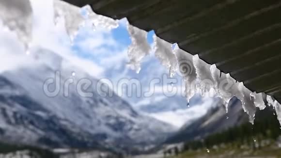 Belukha山和山脚下避雨山脊的景色视频的预览图