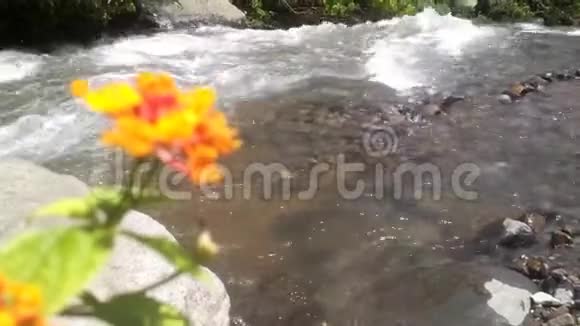 庞当山上的岩石沿着一条巨大的河流向下流动视频的预览图