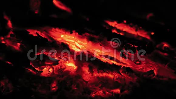 傍晚时分在森林里燃烧的篝火中燃烧着煤视频的预览图