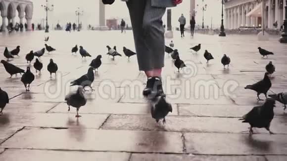 在意大利威尼斯的圣马可广场上带着一群鸽子带着相机行走的低角度女游客腿视频的预览图