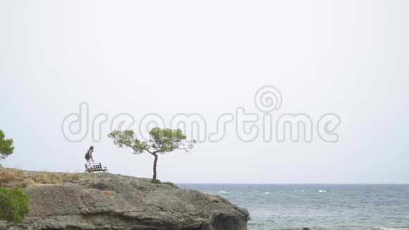 靠近大海的岩石上的棕榈树视频的预览图