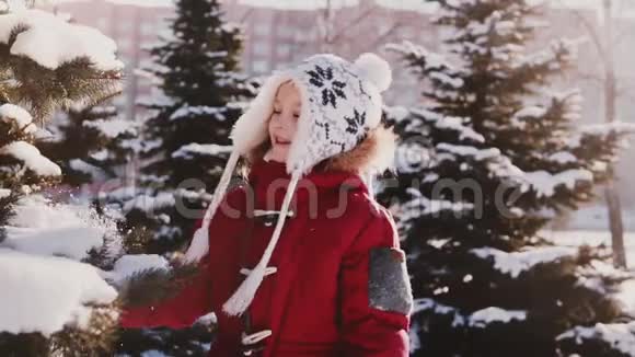 令人惊叹的特写镜头可爱的白人小女孩穿着冬天的衣服玩着从松树慢动作中打雪的乐趣视频的预览图