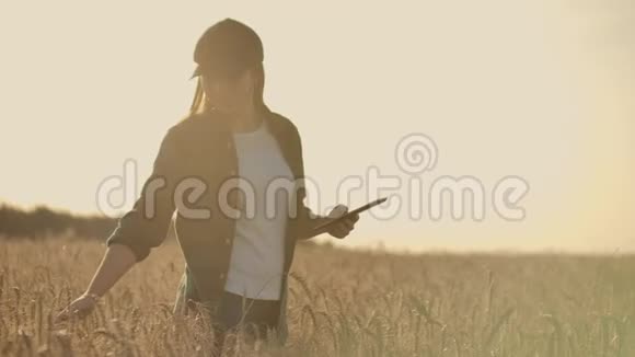 日落时分年轻的女农民在田里干活小企业概念的拥有者视频的预览图