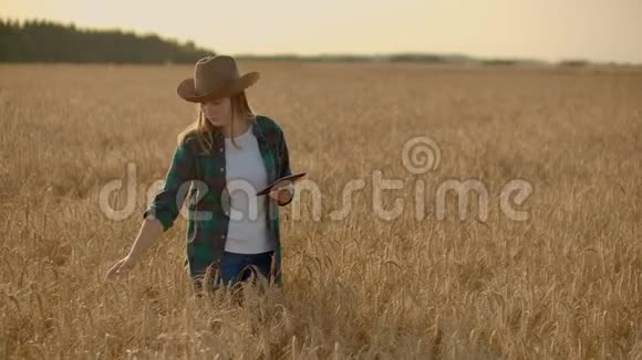 日落时分年轻的女农民在田里干活小企业概念的拥有者视频的预览图