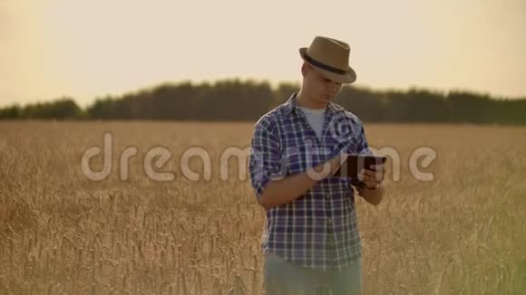 农民在麦田里使用平板电脑从事农业技术领域工作的科学家紧紧抓住男人的手视频的预览图