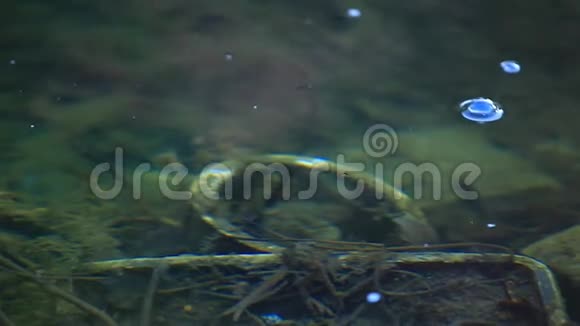 湖水泡春季无人高清镜头视频的预览图