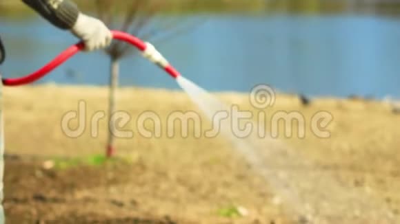 一个男人用水管给草坪浇水视频的预览图