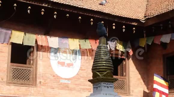 寺庙建筑屋顶上的鸽子佛教寺庙的外部弦上的祈祷旗和平铺的屋顶上的视频的预览图