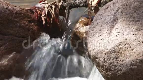 小溪在岩石和树叶上级联视频的预览图